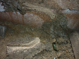 Termite Workings